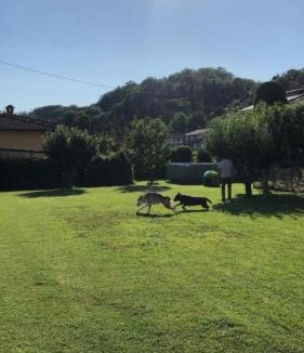 Masero House | affittacamere casaGiarelli&Battistini