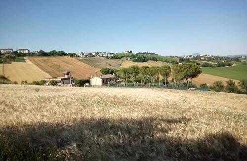 Filottrano House | Affittacamere Flli Rossi