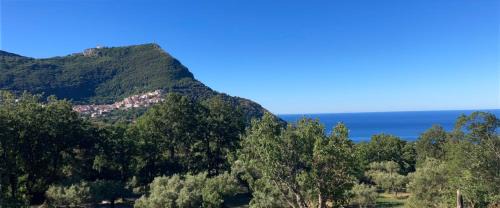 Maratea House | Affittacamere L’ Agrumeto