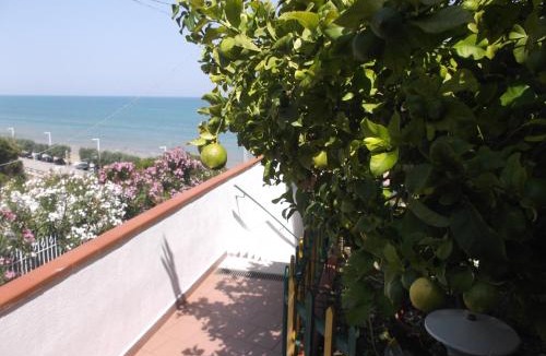 Vico del Gargano Bed & Breakfast | Affittacamere Murgenere