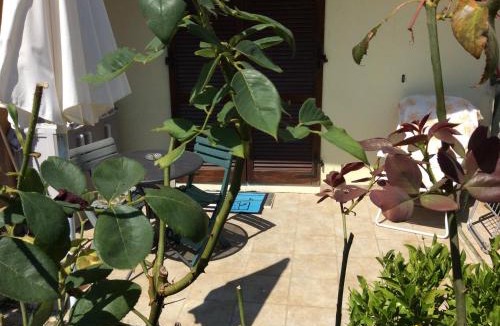Senigallia Apartment | affitto appartamento sul mare