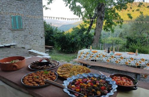 Castel San Niccolo Other | Agricampeggio Boschetto Gioioso