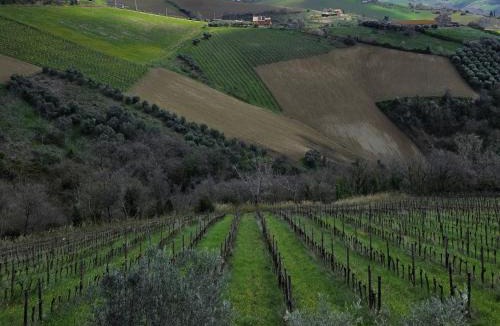 Montefiore dell'Aso House | Agricola Lanciani