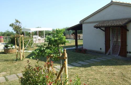Montemarciano House | Agriturismo La Casa della Lavanda - Il Rustico