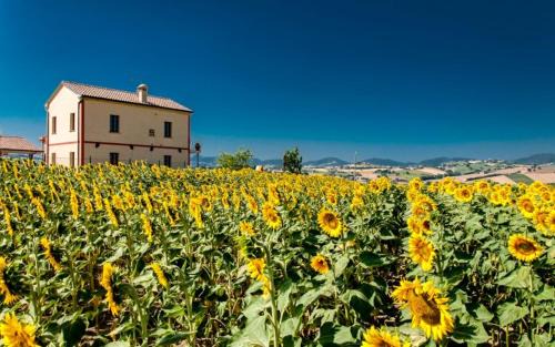 Barbara House | Agriturismo Acquasalata