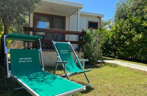 Mattinata House | Agriturismo Antichi Ulivi