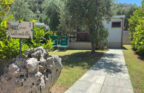 Mattinata House | Agriturismo Antichi Ulivi