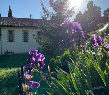 Valfabbrica House | Agriturismo Arcobaleno Assisi
