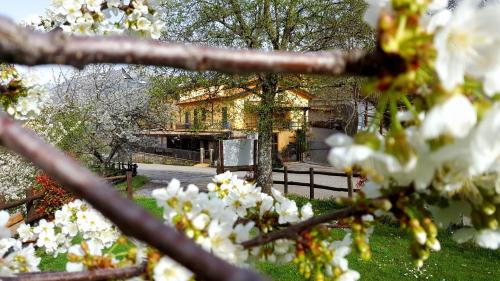 Mormanno House | Agriturismo Aria Fina