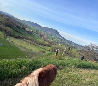 Fabriano Bed & Breakfast | Agriturismo B&B La Cerasa