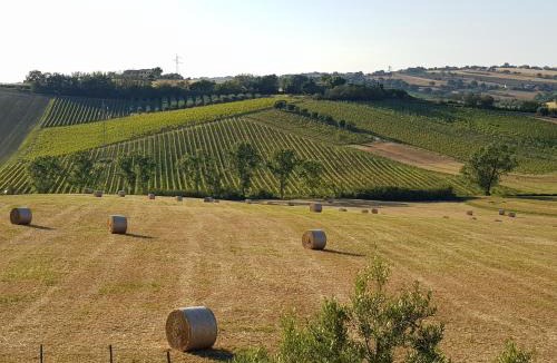 Montemarciano House | Agriturismo bio Verde Armonia