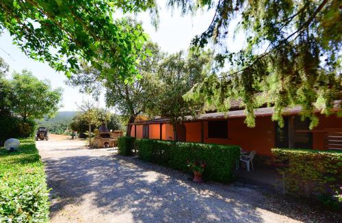 Magliano in Toscana House | Agriturismo Brancalino