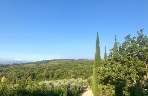 Roccastrada House | Agriturismo Campo al Crognolo