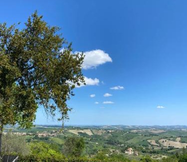 Cingoli Bed & Breakfast | Agriturismo Fontelini