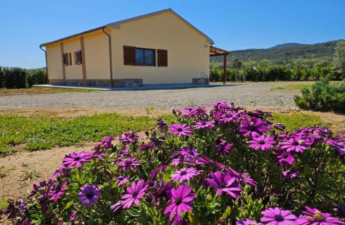 Magliano in Toscana House | Agriturismo Fusini