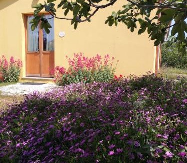 Senigallia House | Agriturismo I Ciliegi Appartamento Ginestra