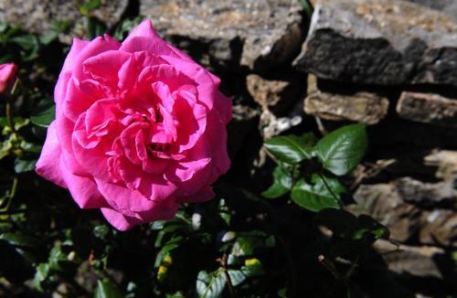 Semproniano House | Agriturismo I Monti