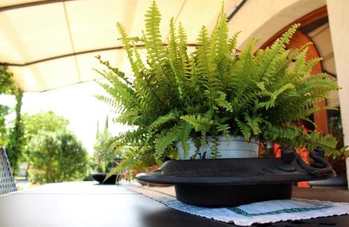 Limiti House | Agriturismo Il Barco
