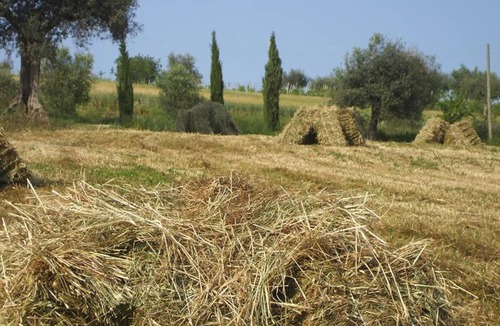Recanati House | Agriturismo Il Gelso Antico