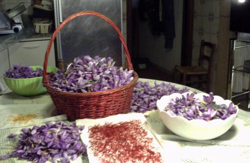 Manciano House | Agriturismo il Mercante