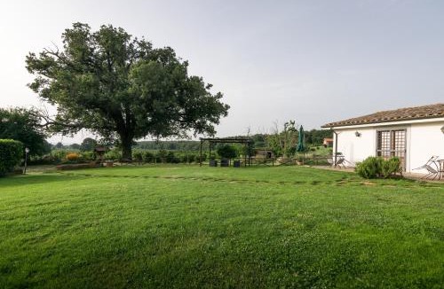 Vetralla House | Agriturismo il Poggio