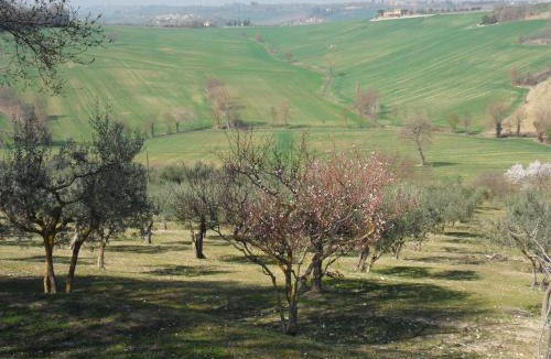 San Brizio House | Agriturismo Il Poggiolo