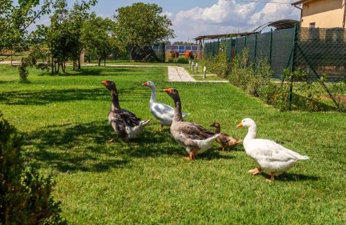 Grosseto House | Agriturismo il Pollino