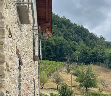 Cartosio House | Agriturismo Il Tesoro di MiRo
