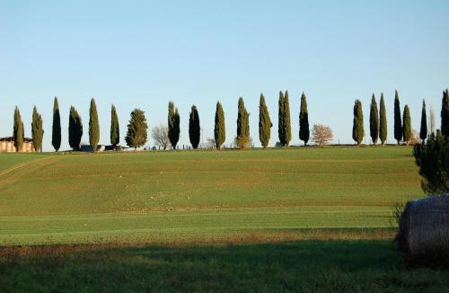 Ponte d'Assi House | Agriturismo KeBio I Tenuta di Fassia