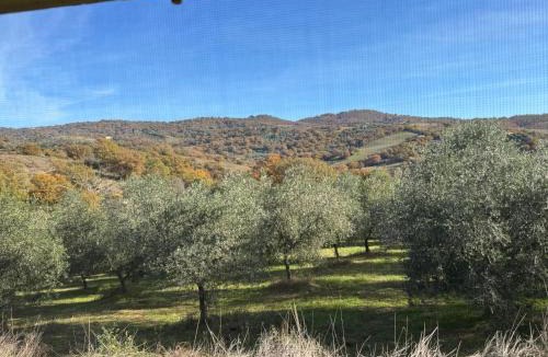 Scansano House | Agriturismo la Gioia