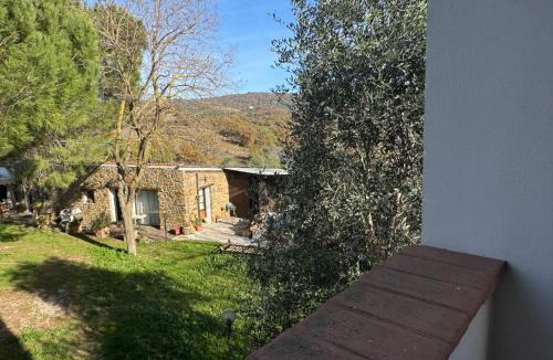 Scansano House | Agriturismo la Gioia