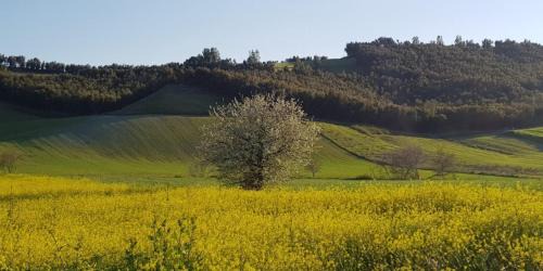 Crotone House | Agriturismo la Mandragola Relais