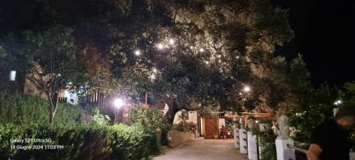 Mandrione Bed & Breakfast | Agriturismo la Masseria