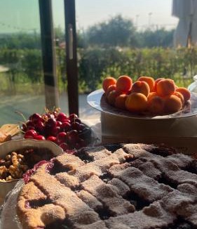 Dozza House | Agriturismo La Rondinella