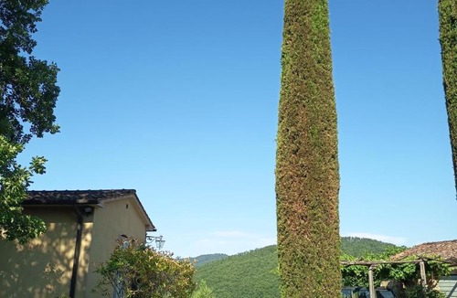Anghiari House | Agriturismo La Scarpaia