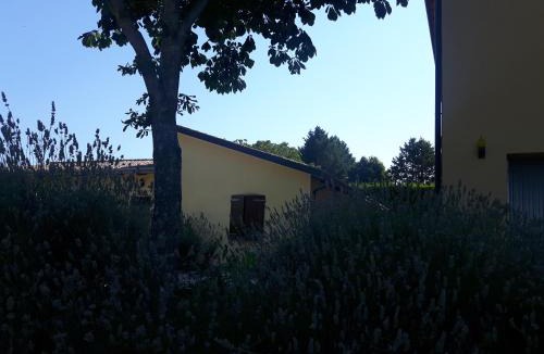 Nocera Umbra House | Agriturismo La Selva