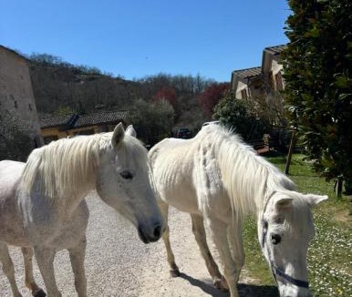 Citta di Castello House | Agriturismo la Tana