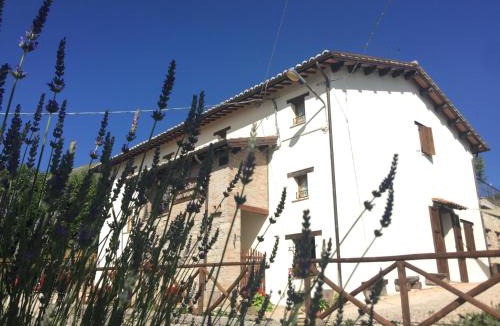 Montemonaco House | Agriturismo Le Castellare