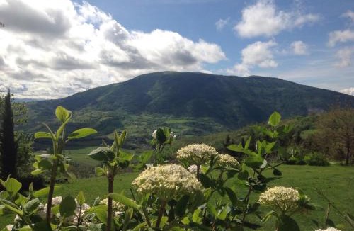 Assisi House | Agriturismo Le Sorgenti