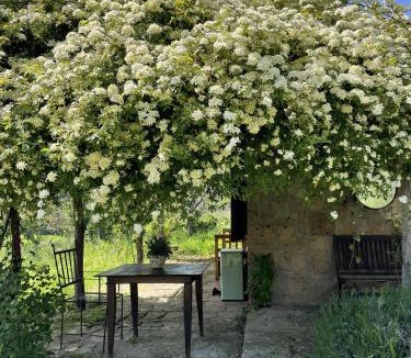 Lubriano House | Agriturismo locanda settimo cielo