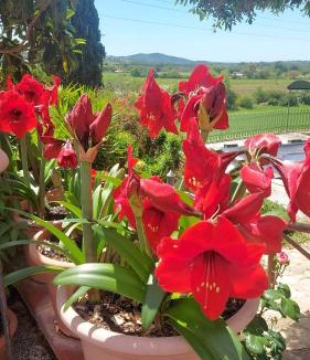 Monterotondo Marittimo Apartment | Agriturismo Mezzo Poggio Suvereto