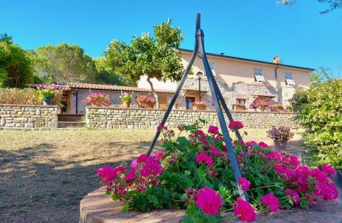 Monterotondo Marittimo Apartment | Agriturismo Mezzo Poggio Suvereto