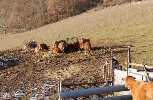 Cascia House | Agriturismo Natura e Gusto fattoria didattica