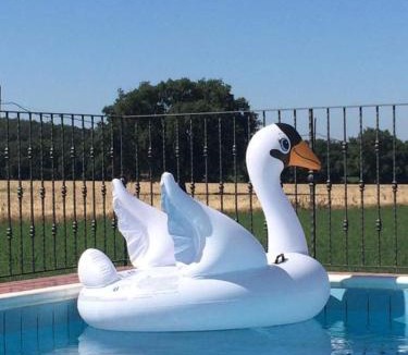 Campagnatico House | Agriturismo Oasi del Pianettino