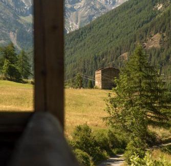 Cogne House | Agriturismo Plan de la Tour B&B