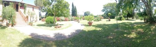 Amelia House | Agriturismo Podere Luchiano