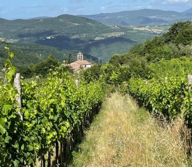 Rufina Bed & Breakfast | Agriturismo Podere Querceto