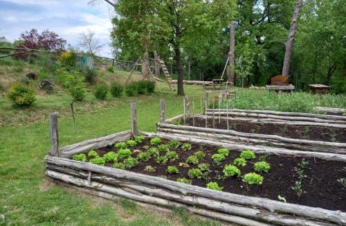 Allerona House | Agriturismo Riparossa
