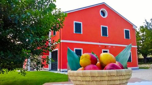 Villa Musone House | Agriturismo Rossococomero colazione inclusa e Offerta PROMO LUGLIO!