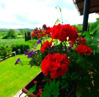 San Giovanni d'Asso House | Agriturismo Sant'Agostino
